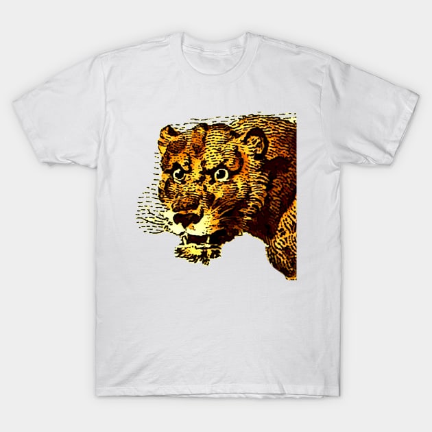 Comic and african lioness T-Shirt by Marccelus